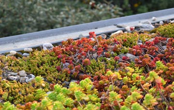 the cost of Croesau Bach green roof installation