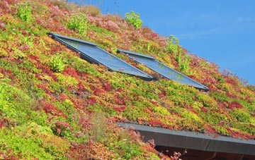 Croesau Bach living roof systems