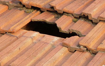 roof repair Croesau Bach, Shropshire